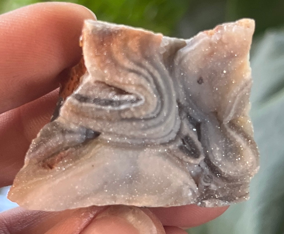 Raw Sparkling Sparkly Druzy Chalcedony Specimen - Botryoidal Grey Chalcedony