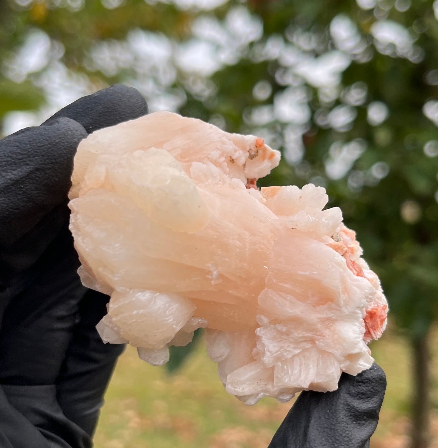 Peach Stilbite Crystal Cluster from India | Zeolite Mineral Specimen for Emotional Healing & Peaceful Sleep