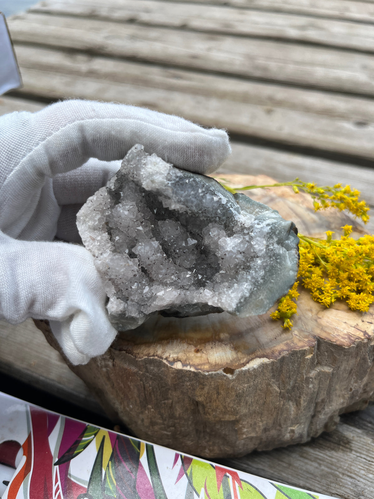 Raw Brazilian Amethyst Geode Specimen - Natural Sparkling Quartz Druzy Cave