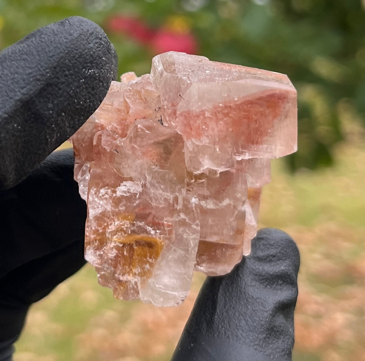 Red Phantom Calcite Cluster | Rare Natural Crystal | Healing Stone for Energy & Motivation