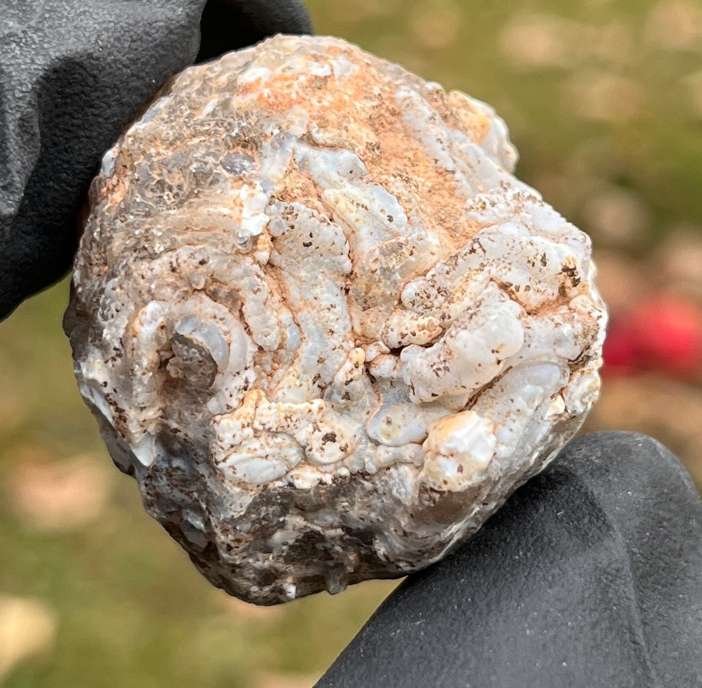 Quartz Crystal Geode Half - Natural Druzy & Agate Formation - Raw Mineral Specimen - Home Decor & Crystal Healing Gift