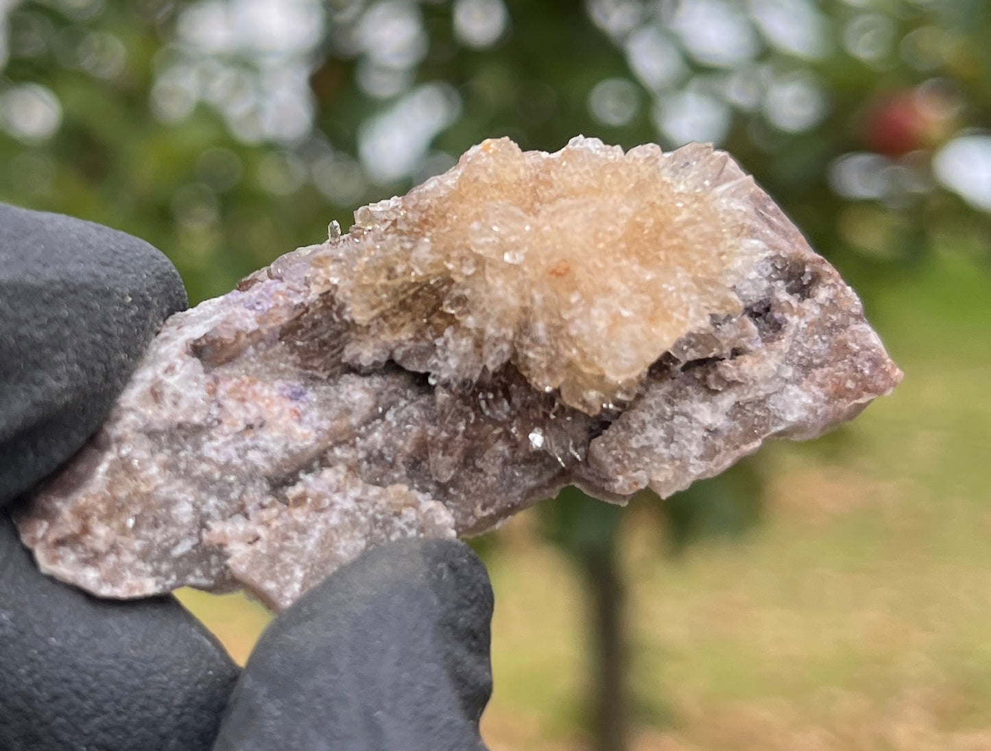 Raw Selenite Starburst Specimen on Matrix | "Ultra Violet" Selenite for Cleansing & High Vibration
