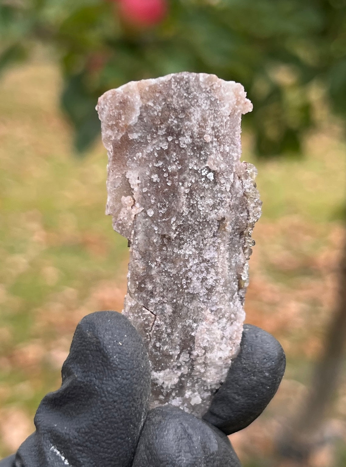 Raw Selenite Starburst Specimen on Matrix | "Ultra Violet" Selenite for Cleansing & High Vibration