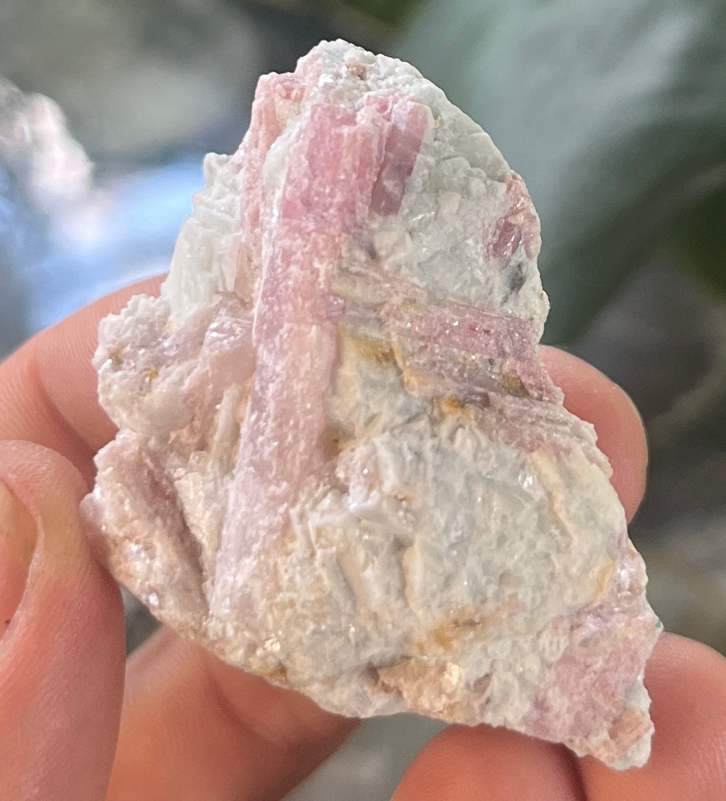 Pink Tourmaline in Matrix Specimen | Natural Rubellite Crystal for Heart Chakra