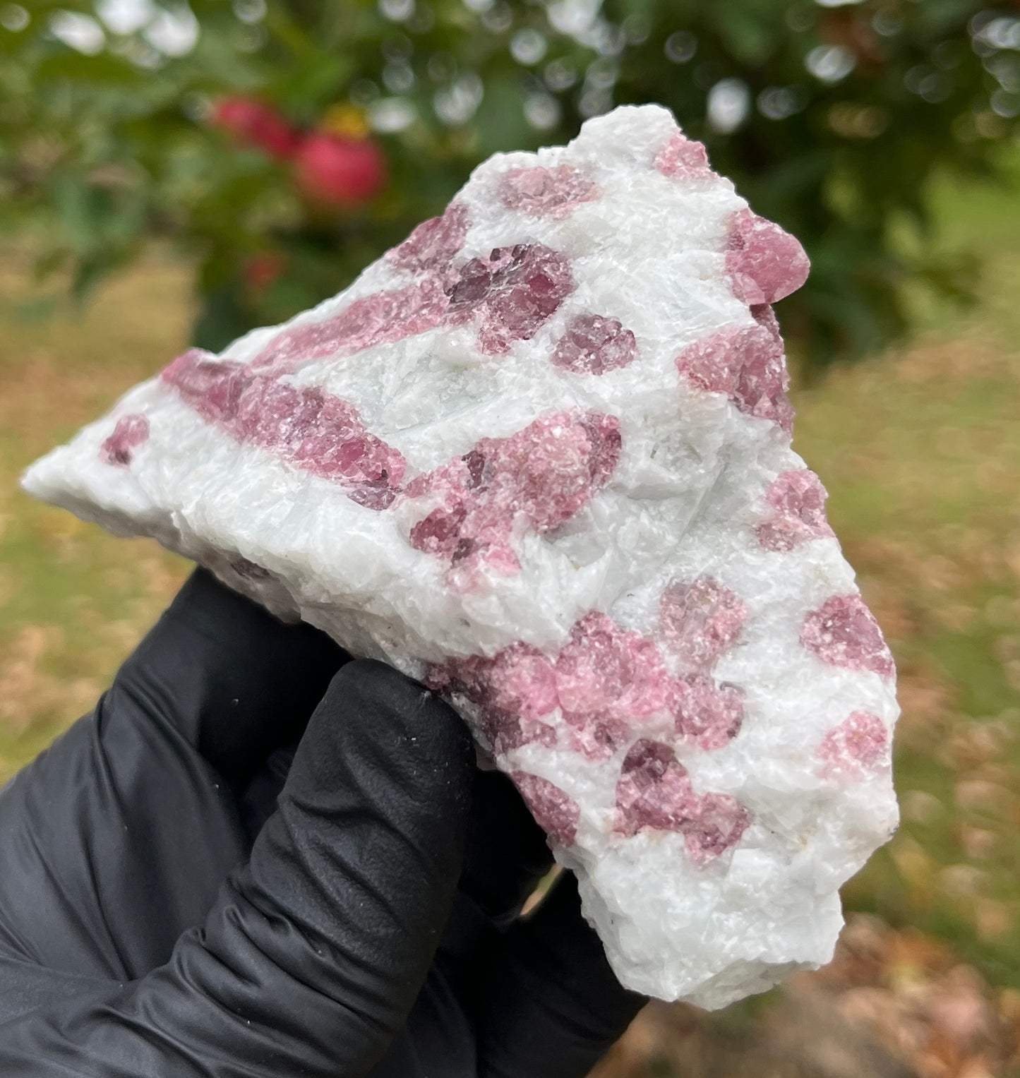 Pink Tourmaline in Matrix Specimen | Natural Rubellite Crystal for Heart Chakra & Emotional Healing