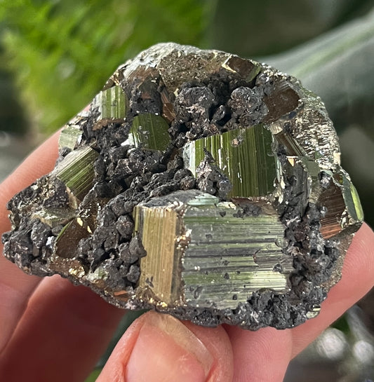 Raw Pyrite Cluster with Striated Cubes & Sphalerite Matrix