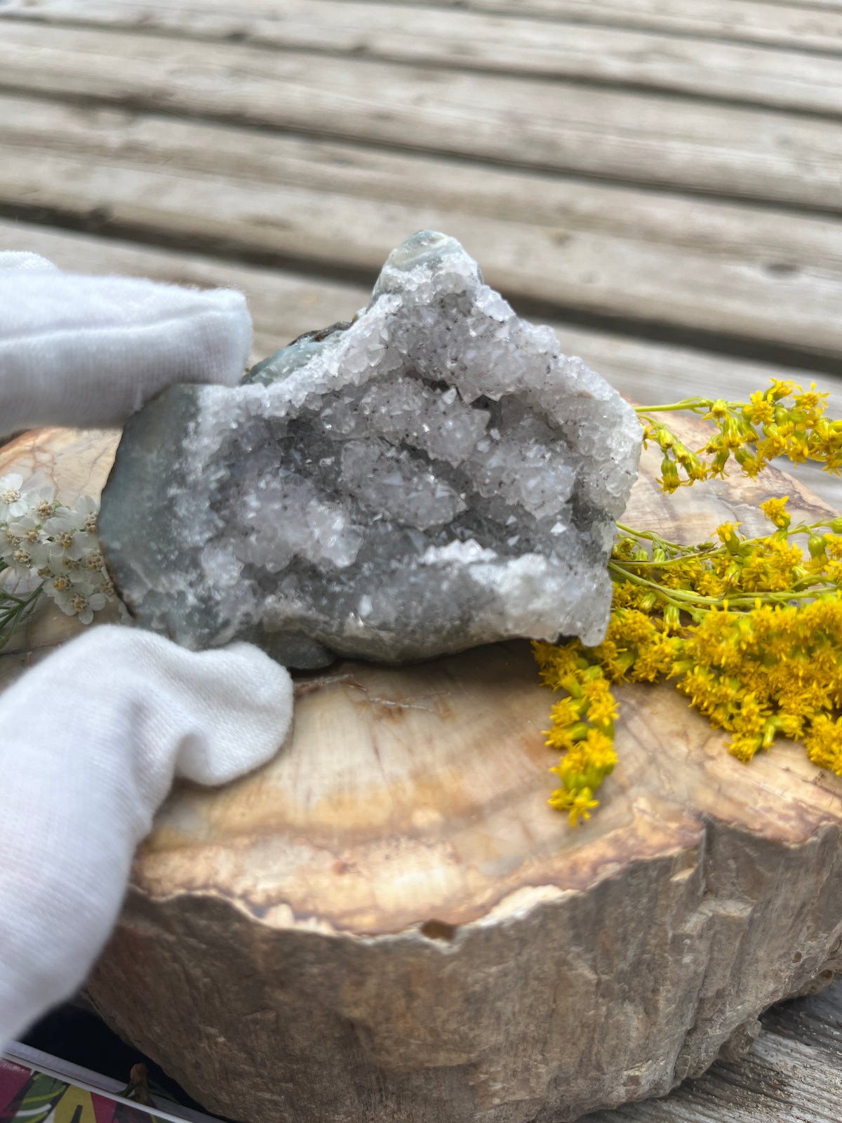 Raw Brazilian Amethyst Geode Specimen - Natural Sparkling Quartz Druzy Cave