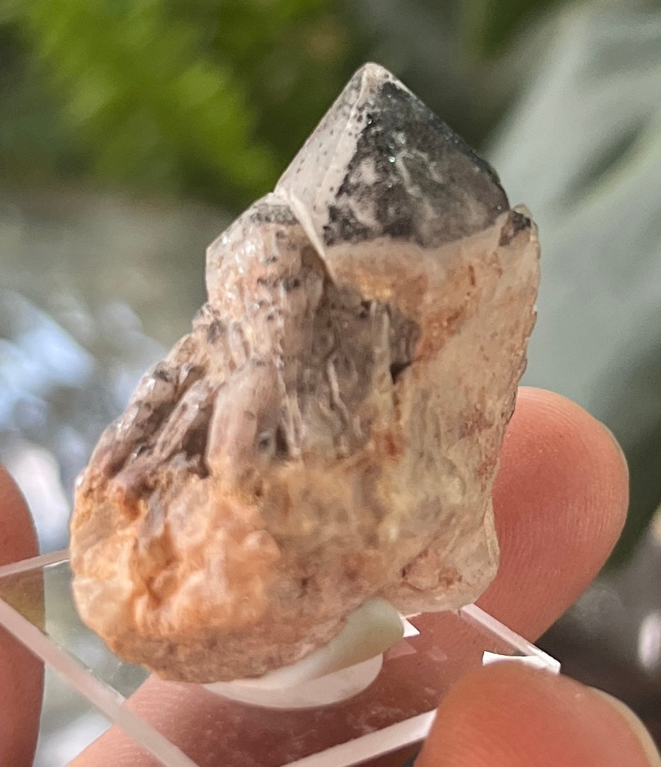 Rare Quartz Crystal Cluster, Black Hematite/Goethite Inclusions