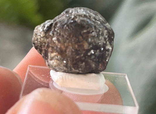 Rough Garnet Specimen on Acrylic Base | Natural Dark Red Almandine Garnet