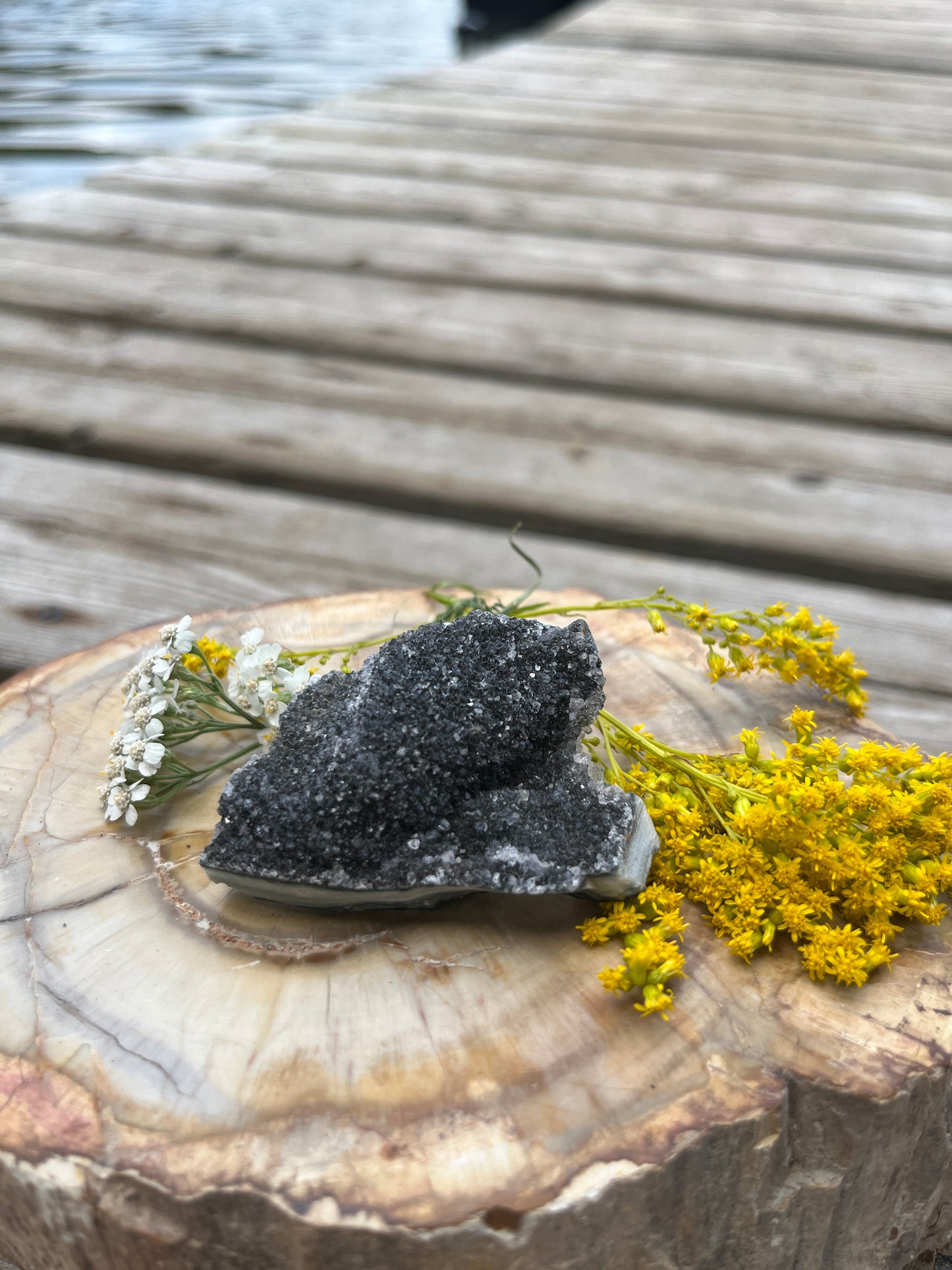 Raw Rare Black Amethyst Cluster - Deep Charcoal Druzy Geode Specimen from