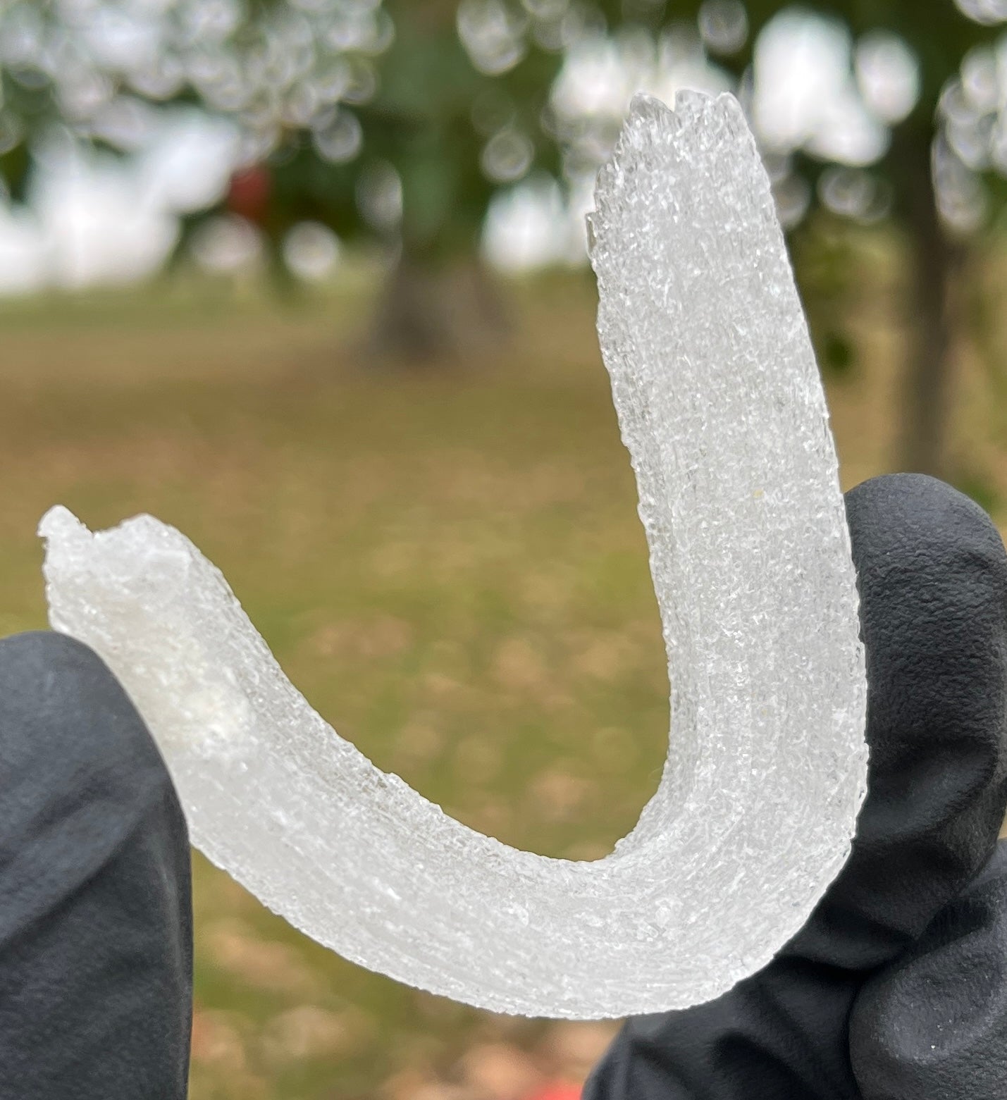 Ram's Horn Selenite Crystal | Curved White Selenite Specimen for Energy Cleansing & Charging | High-Vibration Home Decor