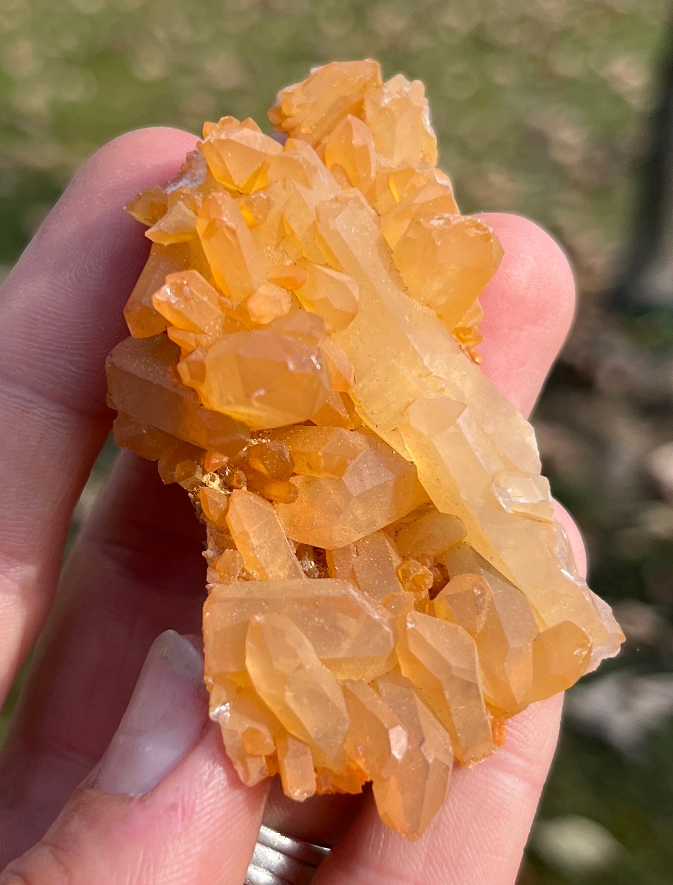 Natural Hematoid Quartz Cluster • Vibrant Orange Tangerine Quartz • Raw Crystal Home Decor