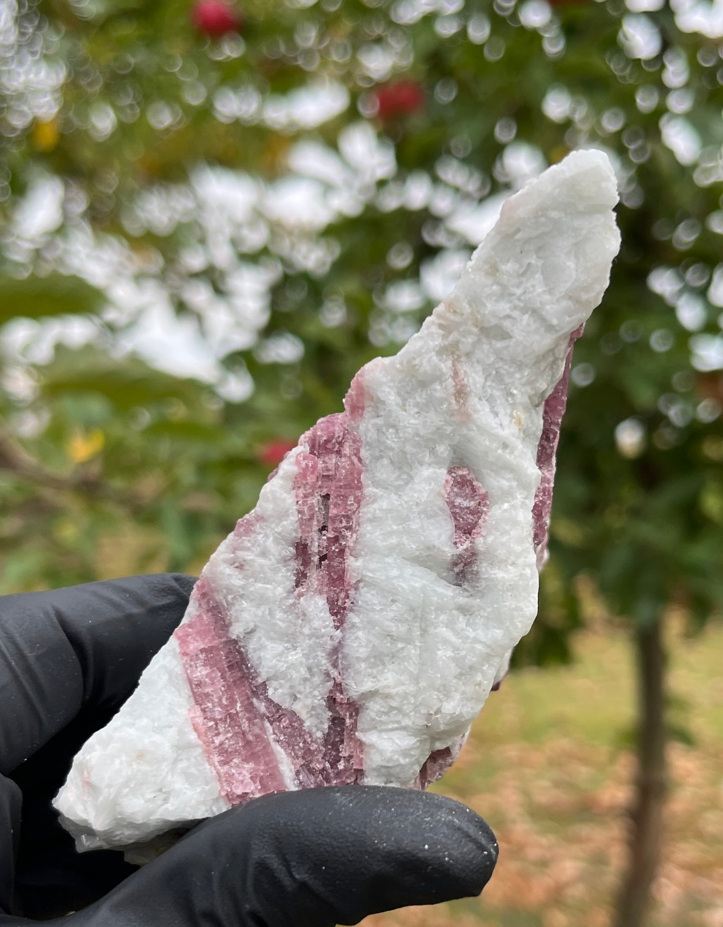 Pink Tourmaline in Matrix Specimen | Natural Rubellite Crystal for Heart Chakra & Emotional Healing