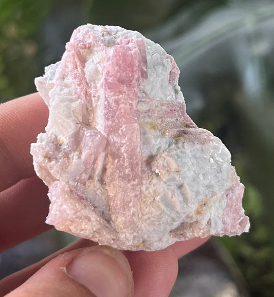 Pink Tourmaline in Matrix Specimen | Natural Rubellite Crystal for Heart Chakra
