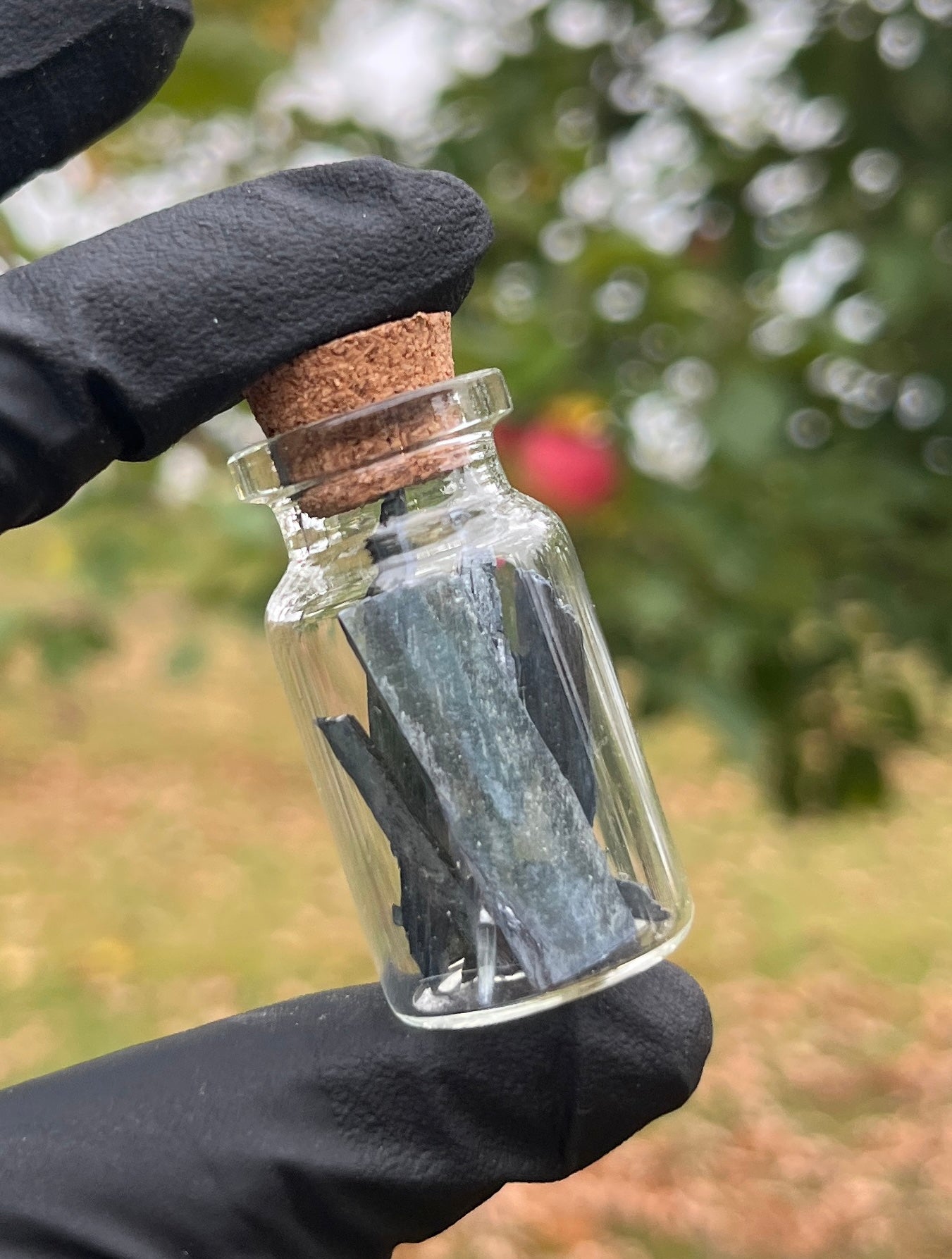 Vial of Raw Vivianite Blades. Raw, Rare, healing Crystals.