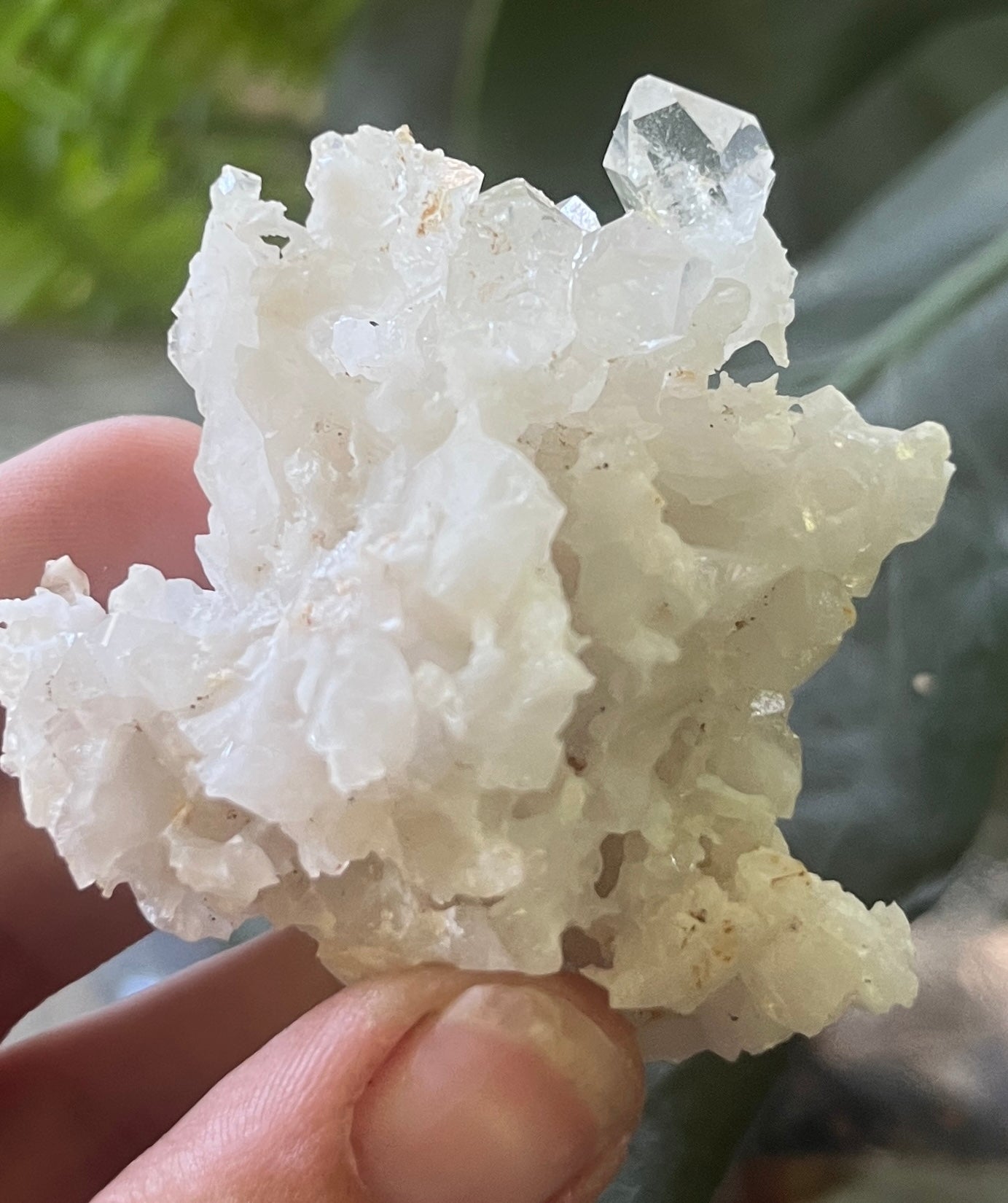 Raw Clear Quartz Cluster Specimen - Unique Natural Quartz Crystal with Sharp