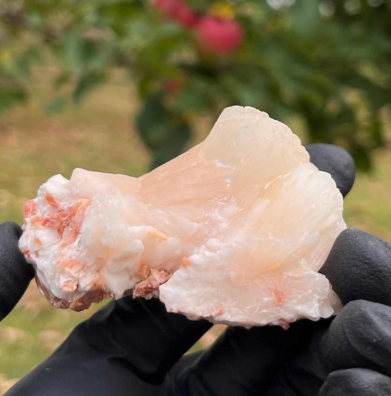 Peach Stilbite Crystal Cluster from India | Zeolite Mineral Specimen for Emotional Healing & Peaceful Sleep