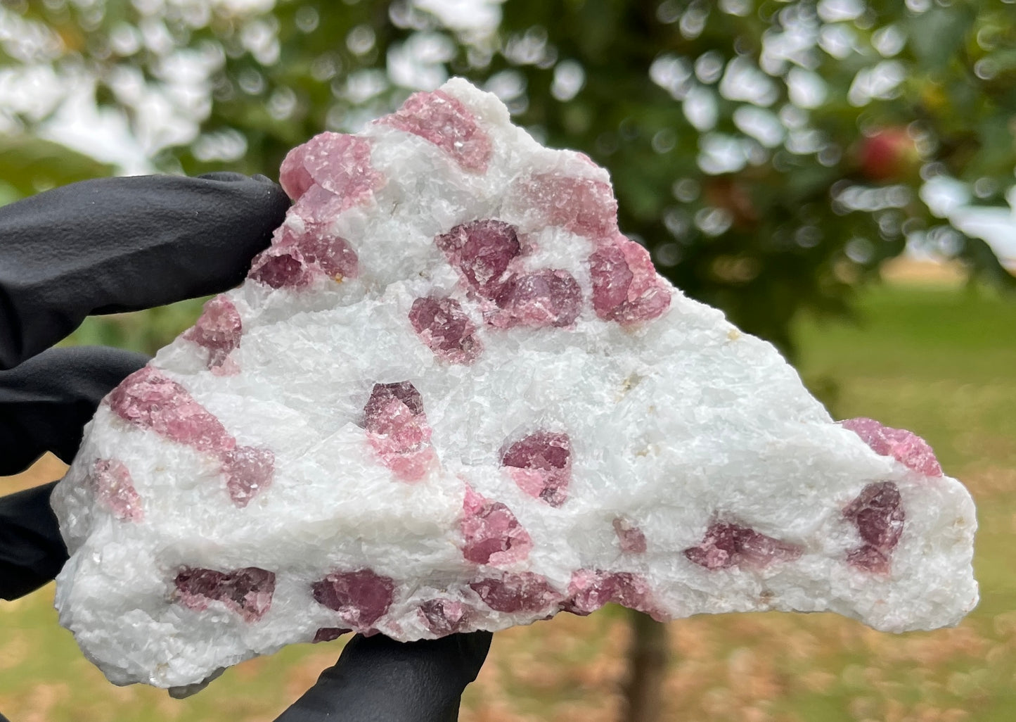 Pink Tourmaline in Matrix Specimen | Natural Rubellite Crystal for Heart Chakra & Emotional Healing