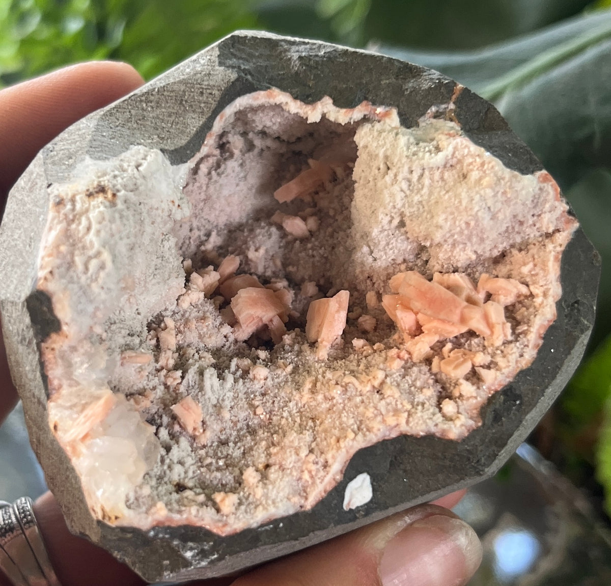 Natural Peach Stilbite & Apophyllite Geode Specimen – Maharashtra, India