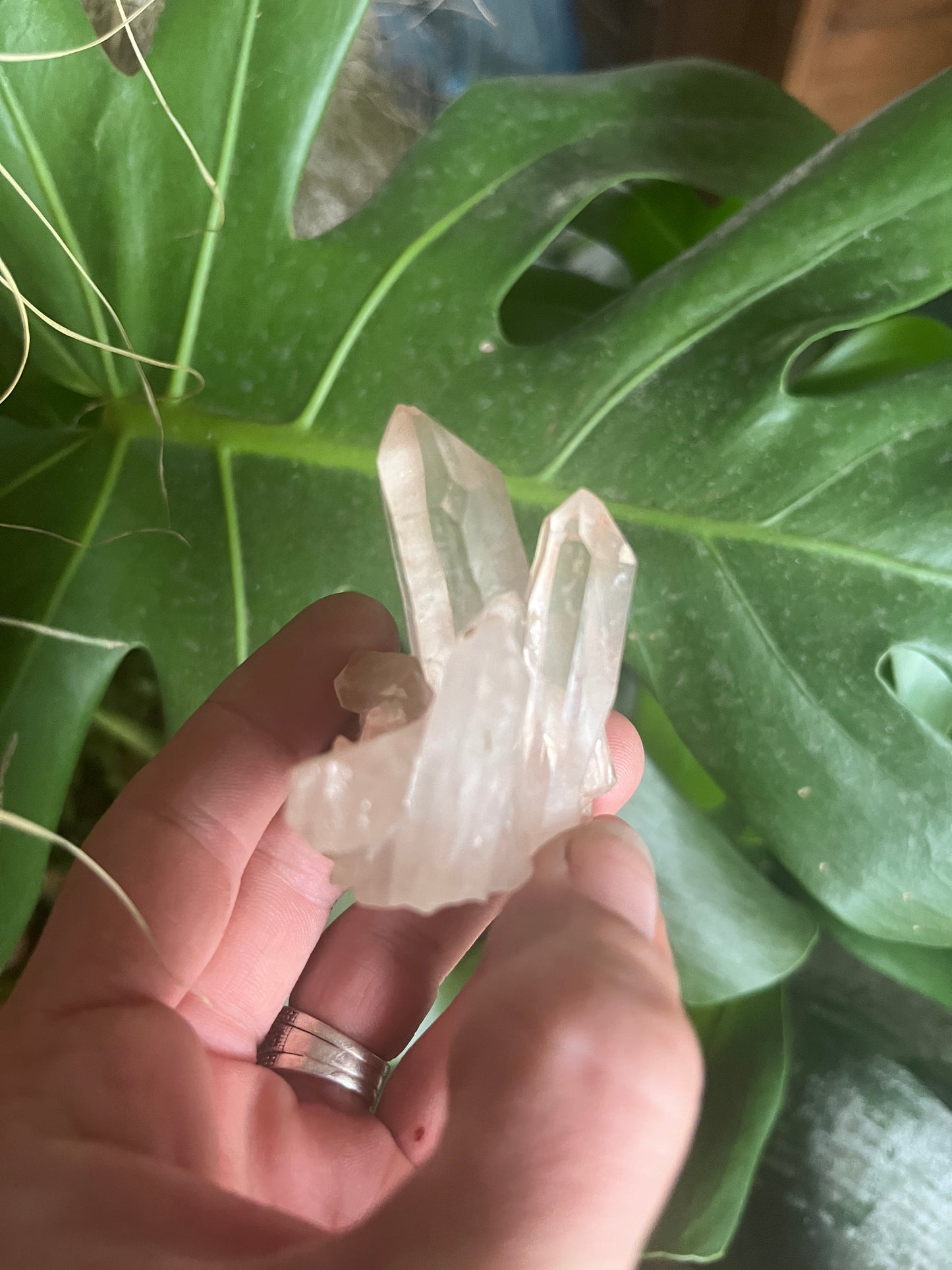 Exceptional Lumarian Quartz Cluster: High-Vibration Energy Amplifier