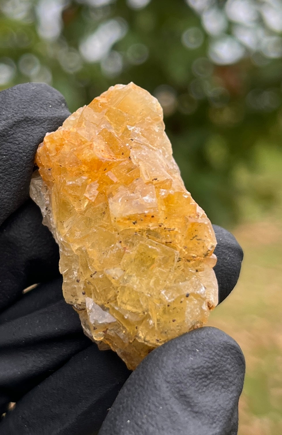 Raw Yellow Fluorite Crystal | Golden Fluorite Specimen | Natural Healing Stone for Focus, Creativity & Positivity | Spiritual Gift