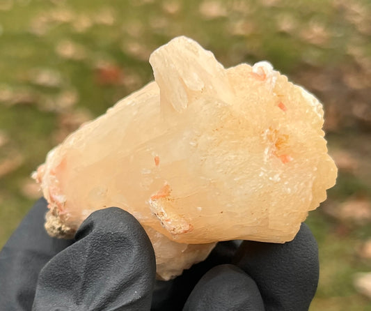 Peach Stilbite Cluster from India | Natural Salmon Stilbite Blade Formation | Emotional Healing Crystal | Zeolite Mineral Specimen