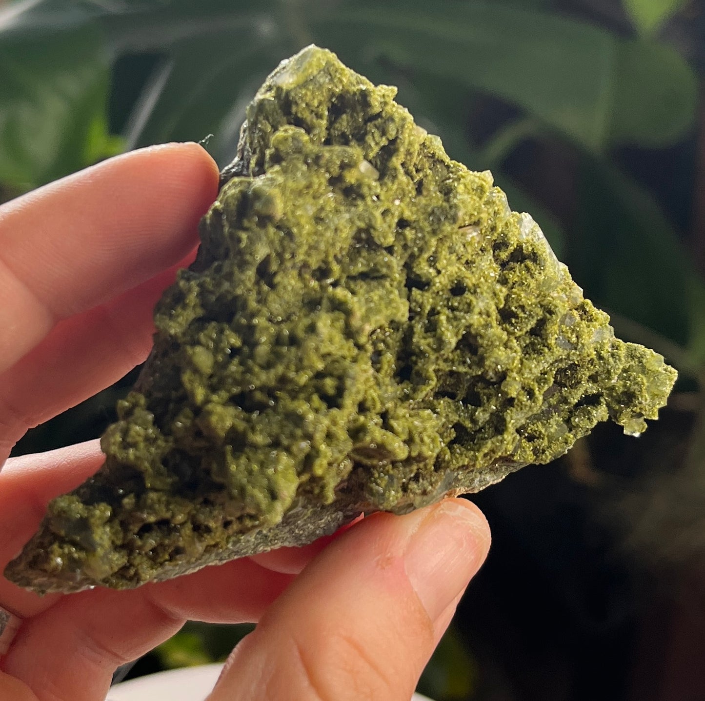 Forest Epidote – Sparkling Green Growth Crystal | Collector Mineral | Grounding & Abundance Stone