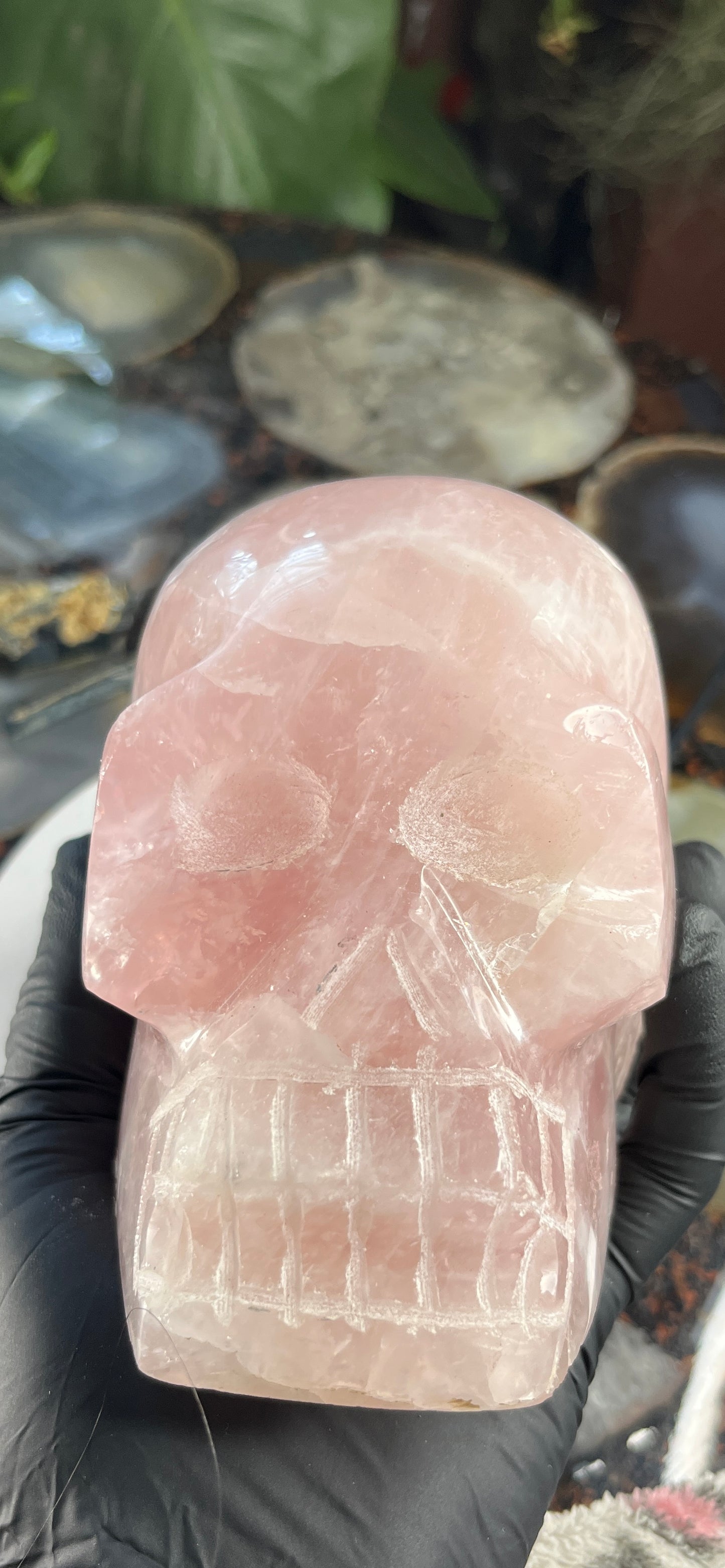 Hand-Carved Rose Quartz Skull – Natural Pink Crystal Sculpture – Large Polished Gemstone Skull for Reiki, Meditation, and Home Decor – One of a Kind