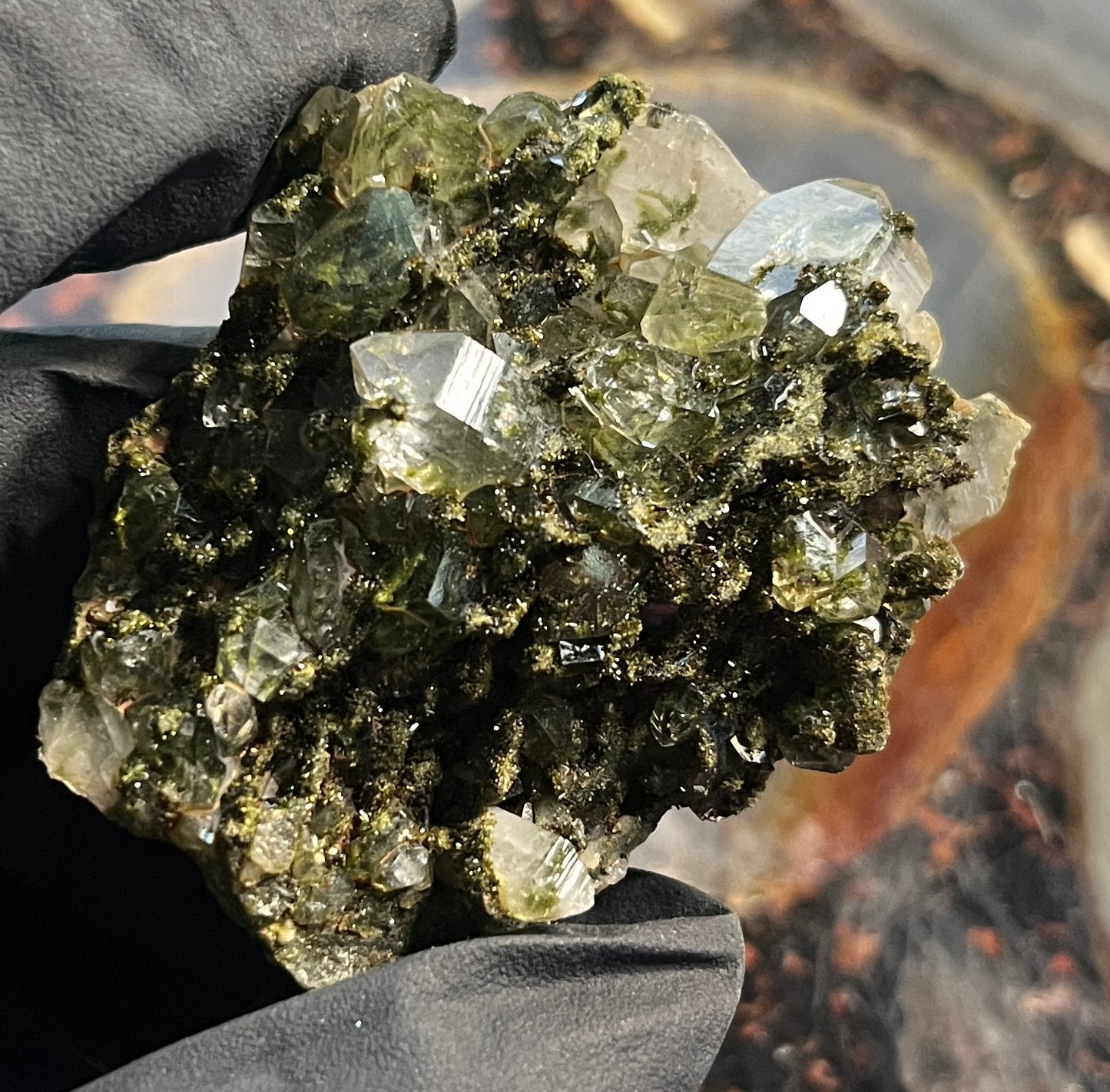 Forest Epidote with Quartz – Sparkling Green Growth Crystal | Collector Mineral | Grounding & Abundance Stone