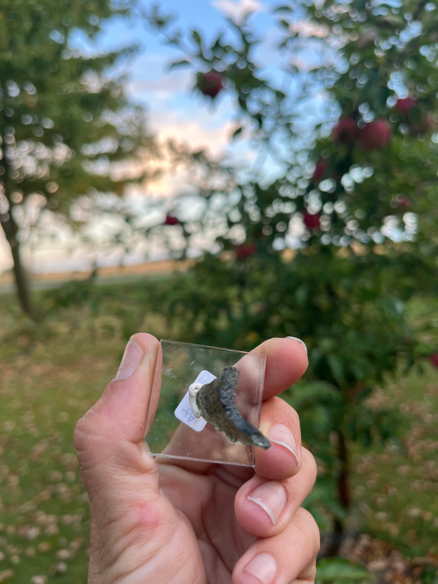 Authentic Raw Moldavite - Genuine Czech Tektite for Spiritual Awakening & Transformation | Rare High Vibration Crystal