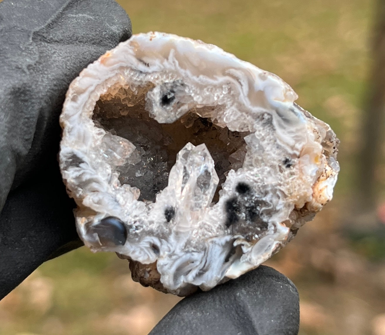 Quartz Crystal Geode Half - Natural Druzy & Agate Formation - Raw Mineral Specimen - Home Decor & Crystal Healing Gift