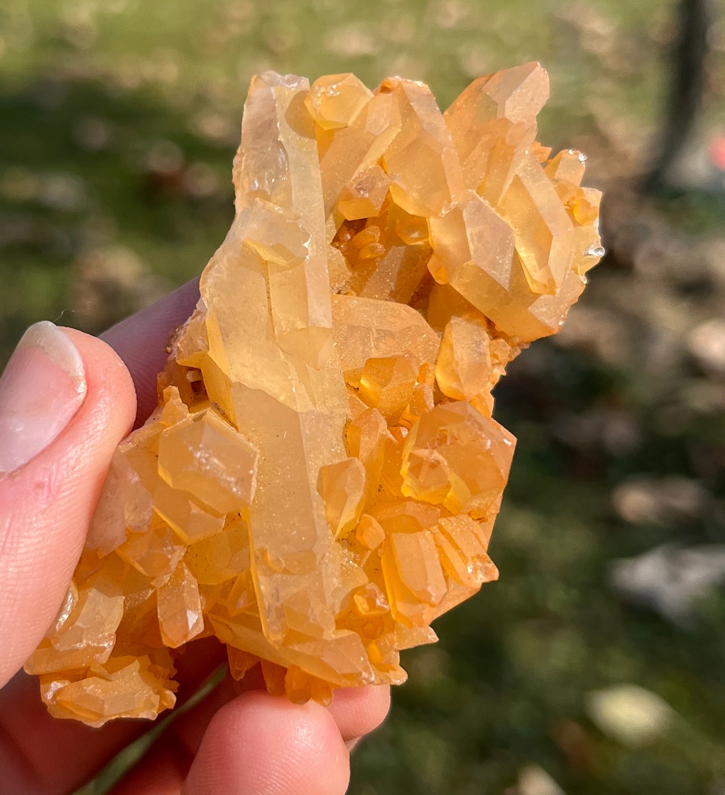 Natural Hematoid Quartz Cluster • Vibrant Orange Tangerine Quartz • Raw Crystal Home Decor
