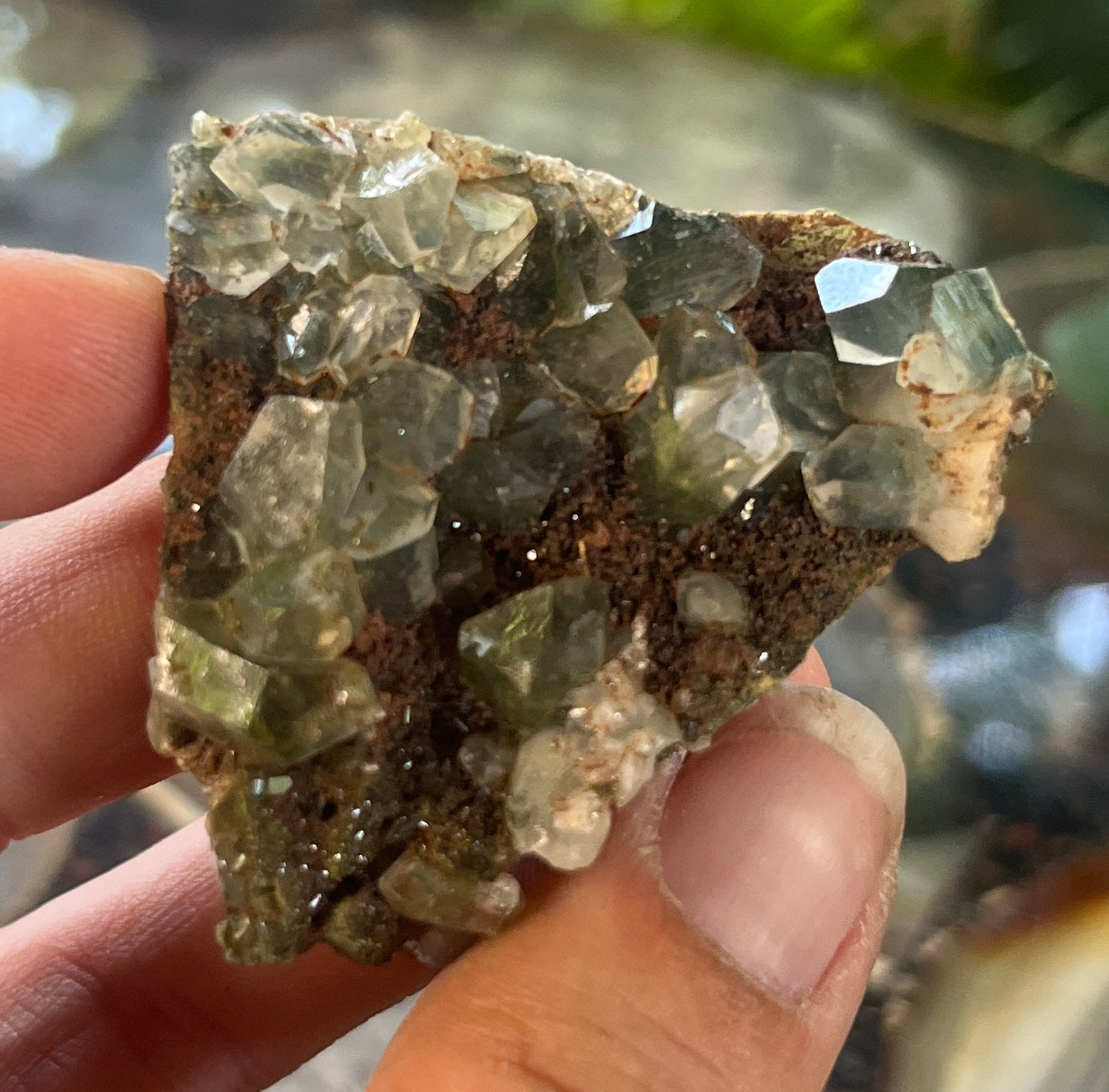 Forest Epidote with Quartz – Sparkling Green Growth Crystal