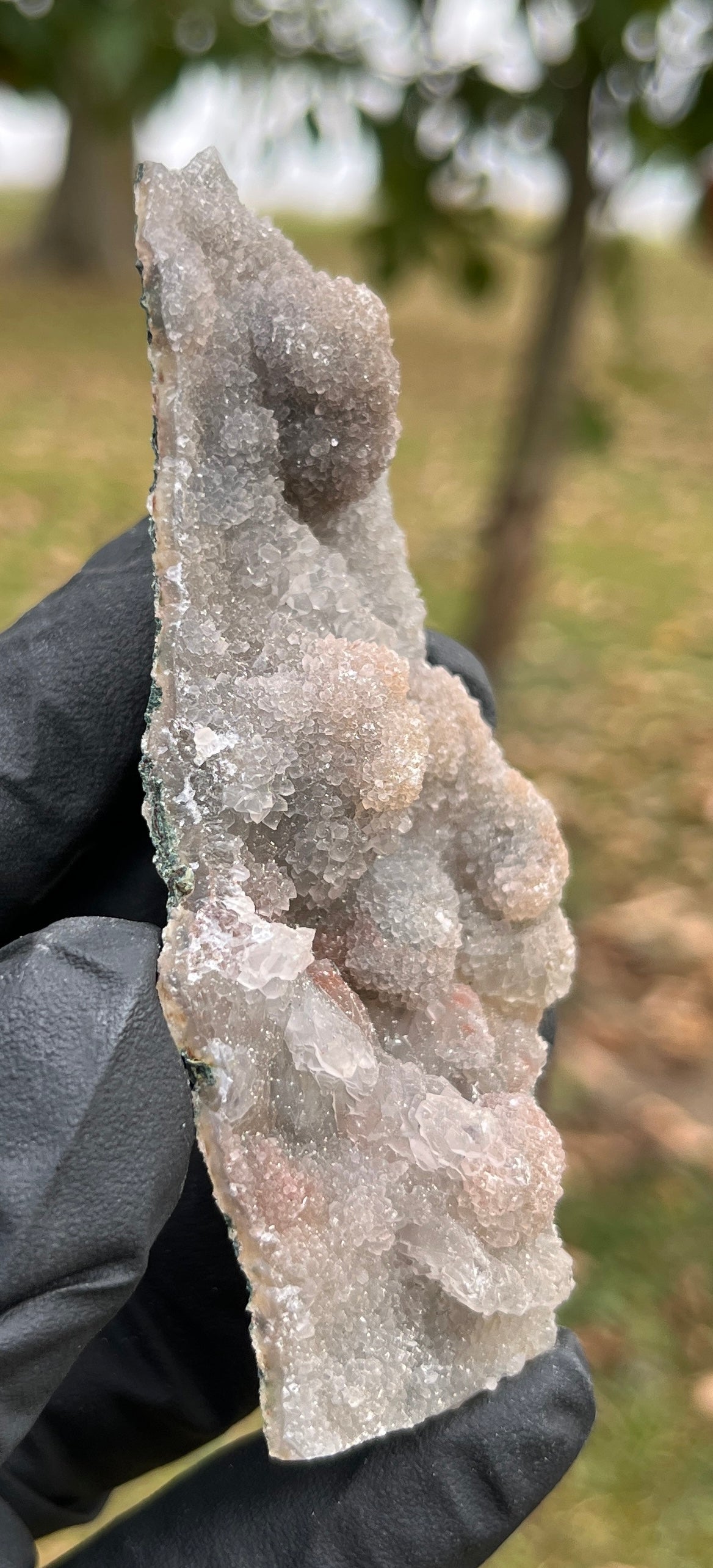 Sparkling Brazilian Druzy Quartz Specimen | Botryoidal Chalcedony with Zeolite | High-Vibration Amplifier Crystal | Raw Collector Piece