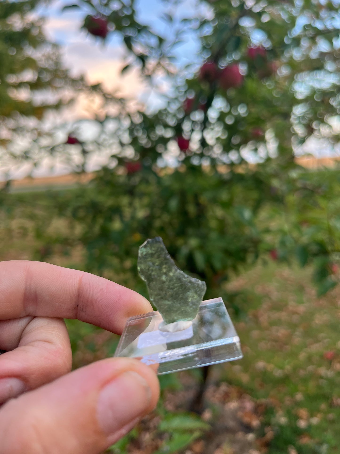 Genuine Raw Moldavite | Authentic Czech Republic Tektite | High Vibration Moldavite Crystal | Transformation Stone | Rare Metaphysite | Unique Gift