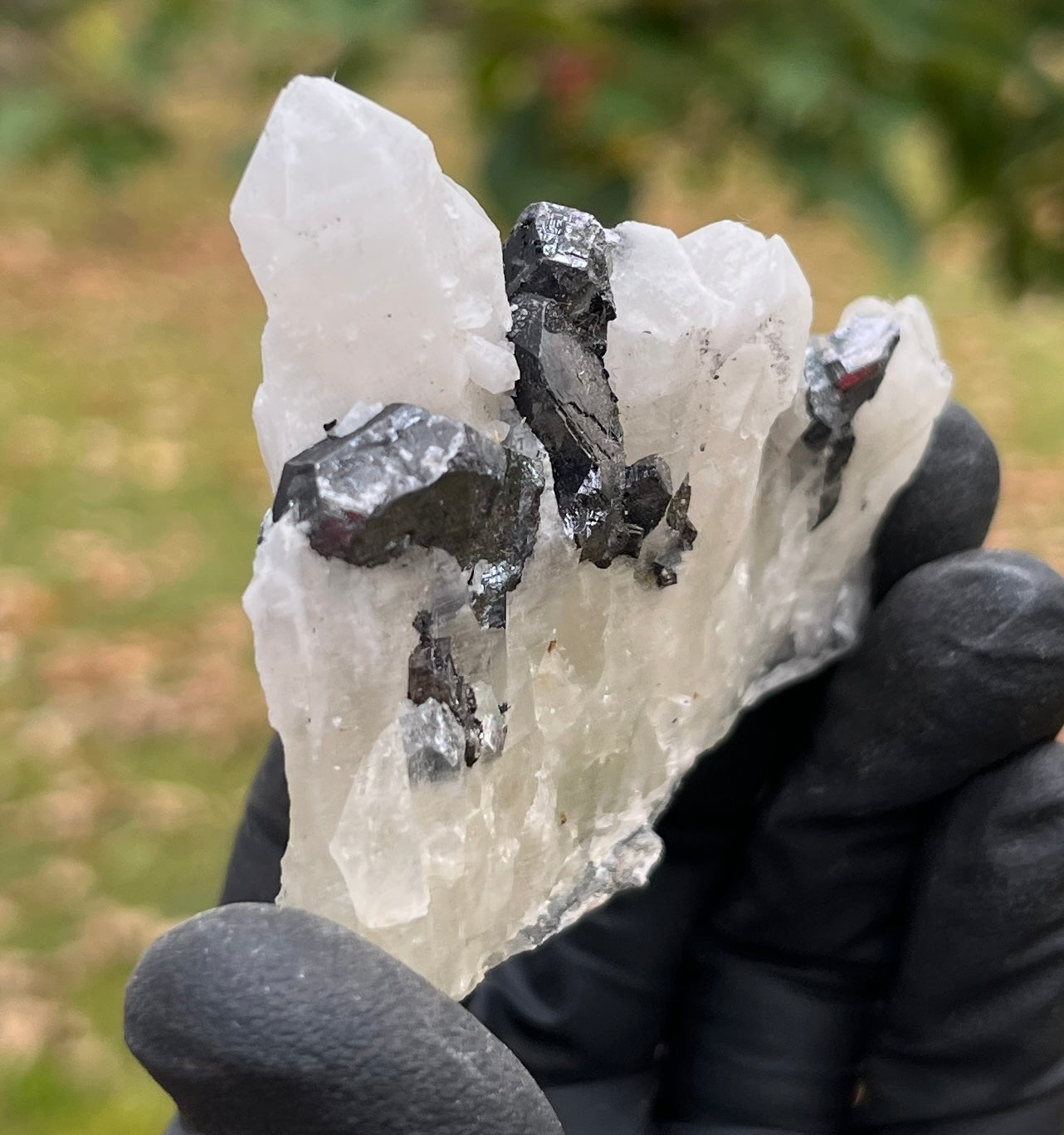 Raw Galena & Quartz Crystal Specimen | Natural Grounding Stone for Protection, Stability & Mineral Collectors