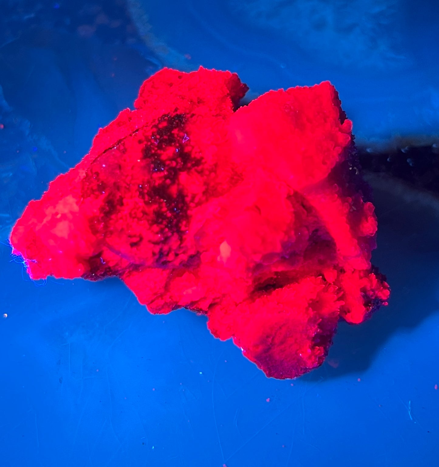 Fluorescent Honeycomb Ruby Specimen - UV Reactive Corundum - Raw Magenta Ruby Crystal - Rare Mineral Decor -