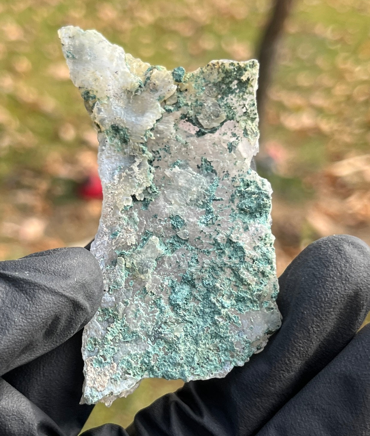 Brazil Zeolite Amethyst Flower Cluster • Lavender Crystal Rosette • Rare Brazilian Zeolite Formation • Cleansing & Healing Crystal