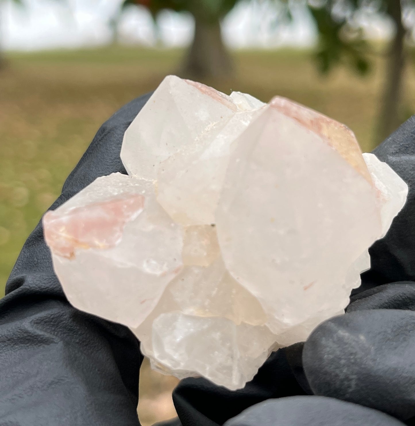 Rare Pink Lithium Quartz Cluster - Natural Crystal for Stress Relief, Calmness, and Energy Work - High-Quality Specimen