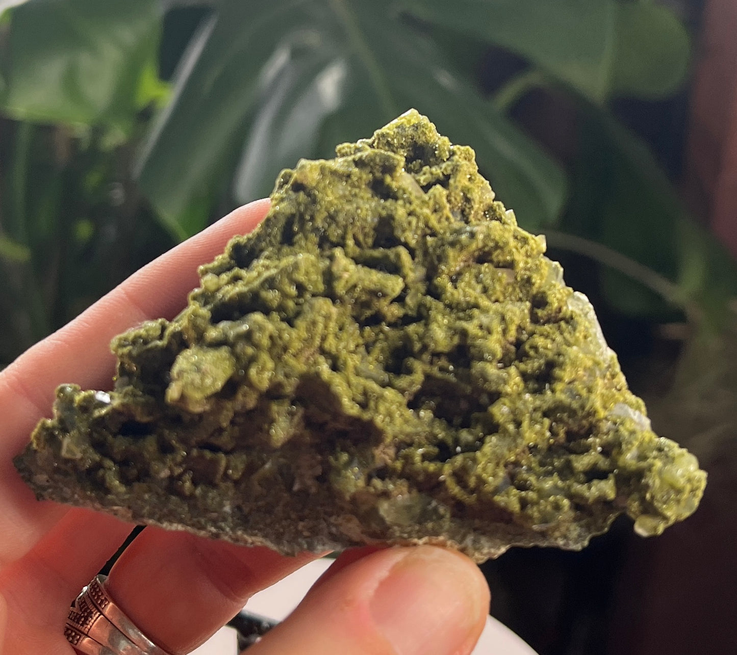 Forest Epidote – Sparkling Green Growth Crystal | Collector Mineral | Grounding & Abundance Stone