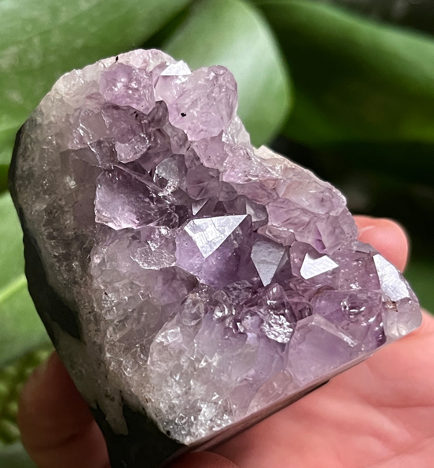 Stunning Deep Purple Amethyst Free Form Cluster | High Quality Brazilian Amethyst
