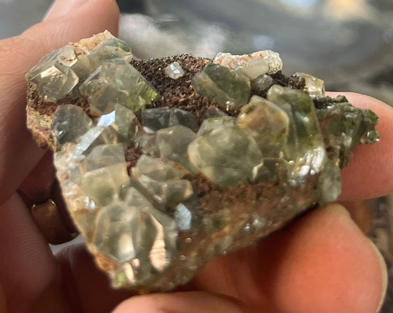 Forest Epidote with Quartz – Sparkling Green Growth Crystal