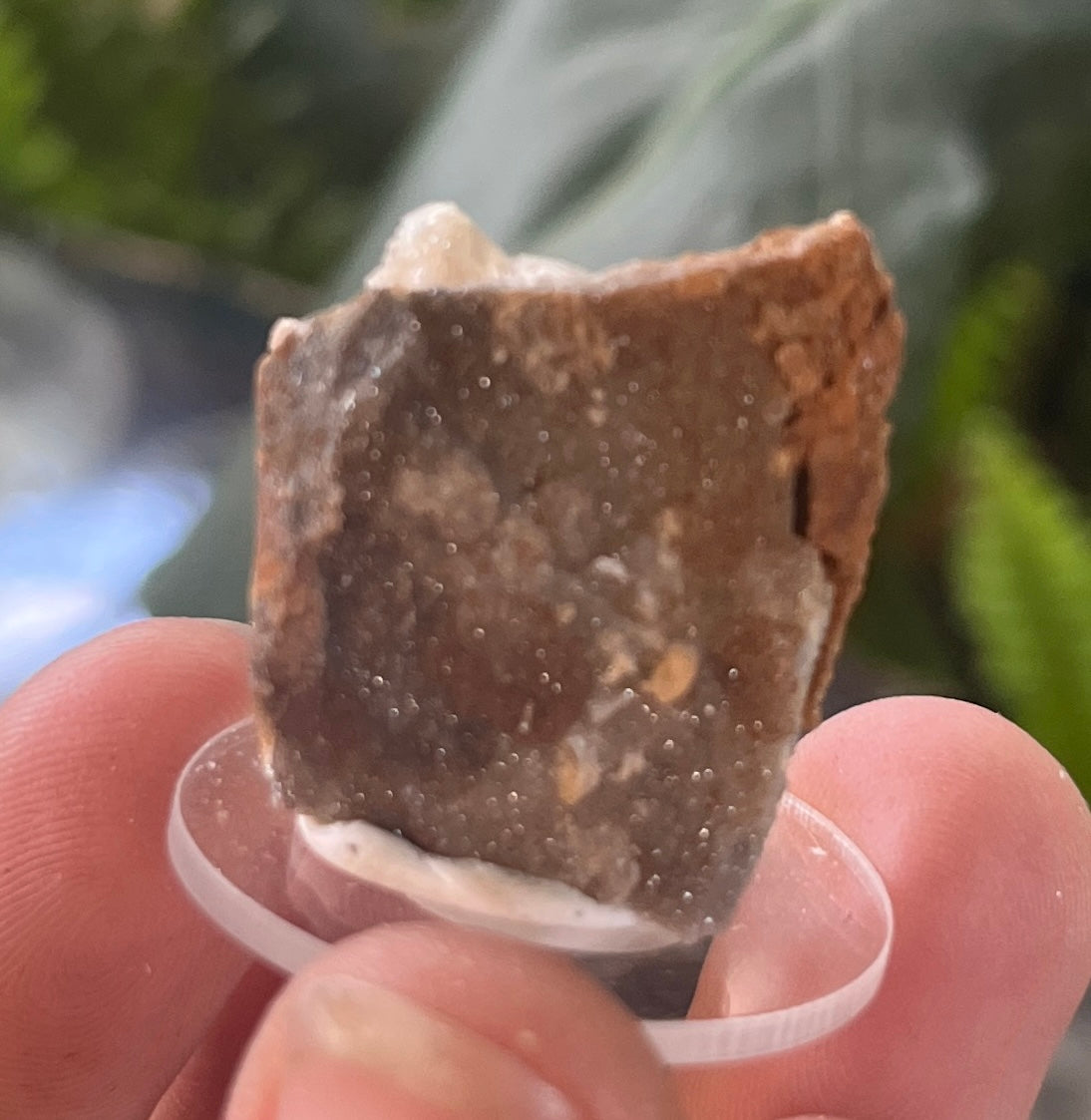 Raw Selenite Starburst Specimen on Matrix | "Ultra Violet" Selenite for