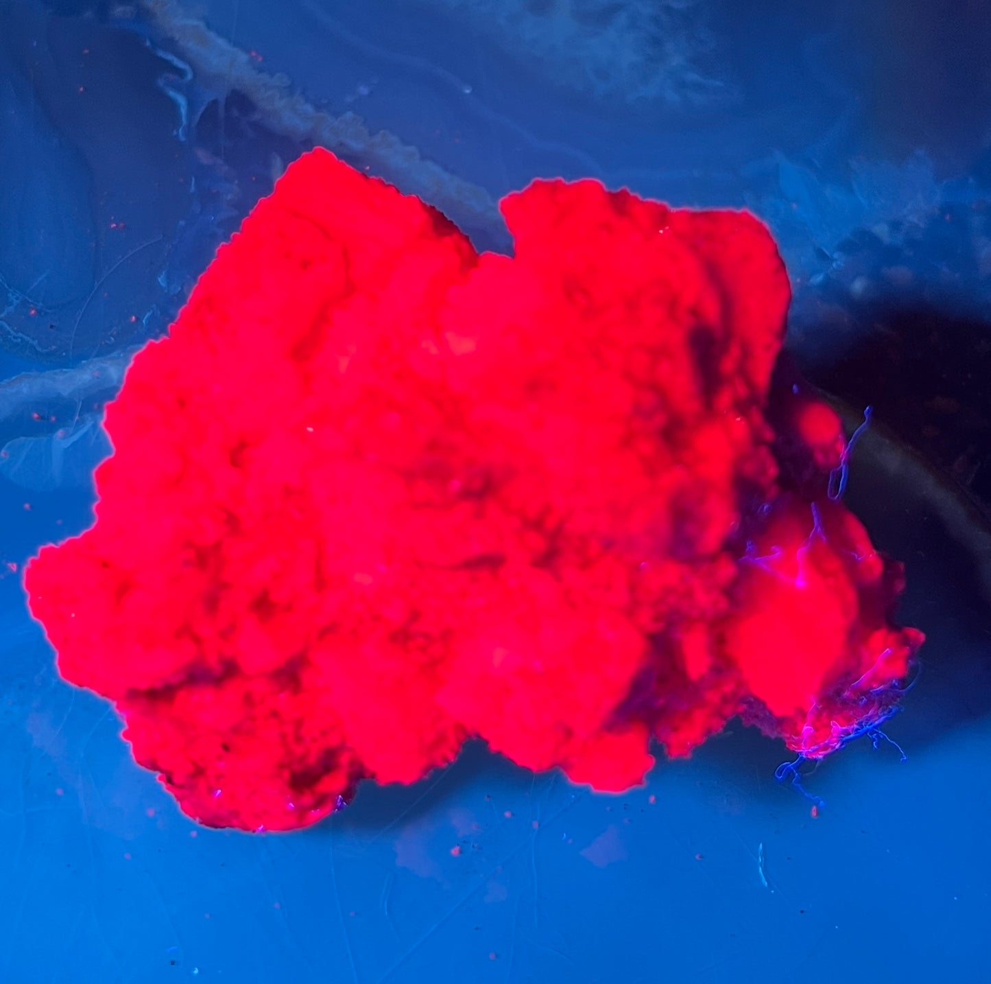 Fluorescent Honeycomb Ruby Specimen - UV Reactive Corundum - Raw Magenta Ruby Crystal - Rare Mineral Decor -