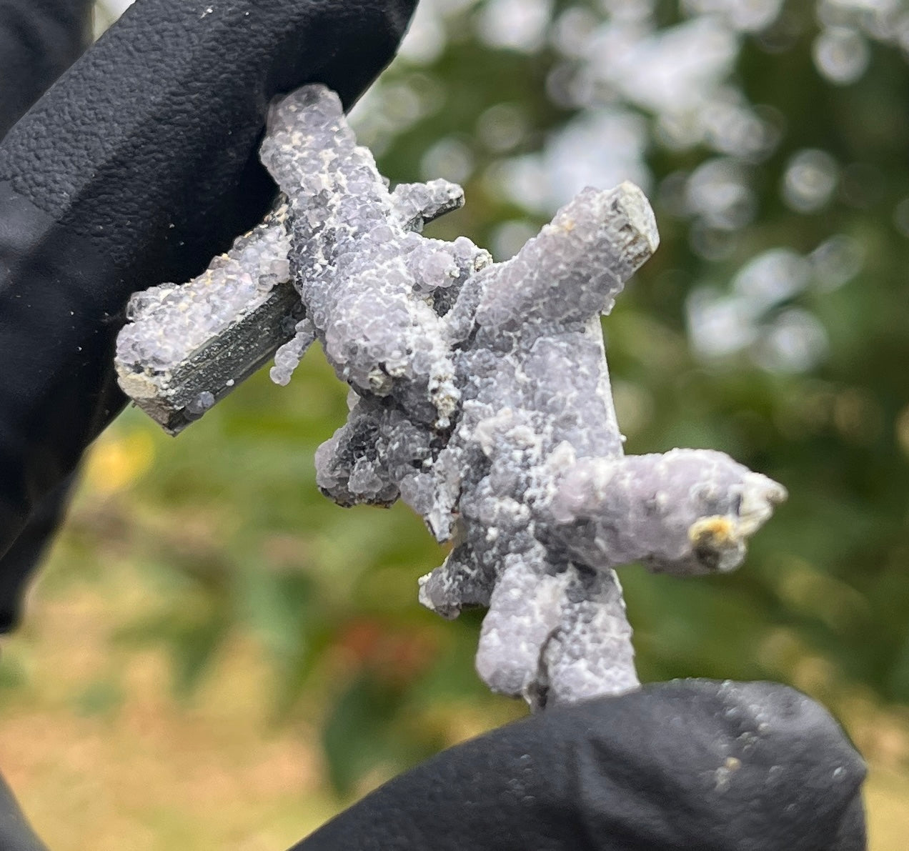 Stibnite with Fluorite Cluster | UV Reactive Crystal Specimen | Fluorescent Mineral