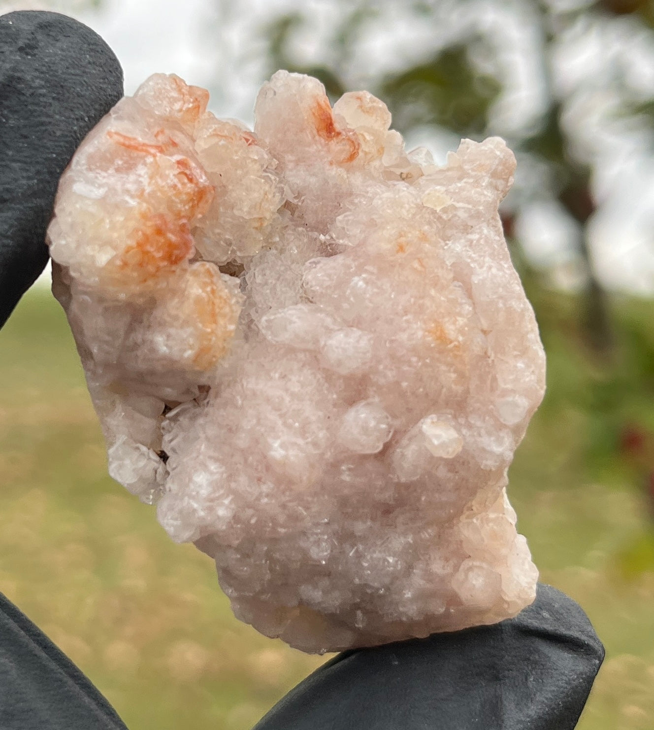 Rare Pink Amethyst Cluster | Botryoidal Raw Pink Amethyst Geode Specimen | High Grade Crystal Healing Home Decor Gift