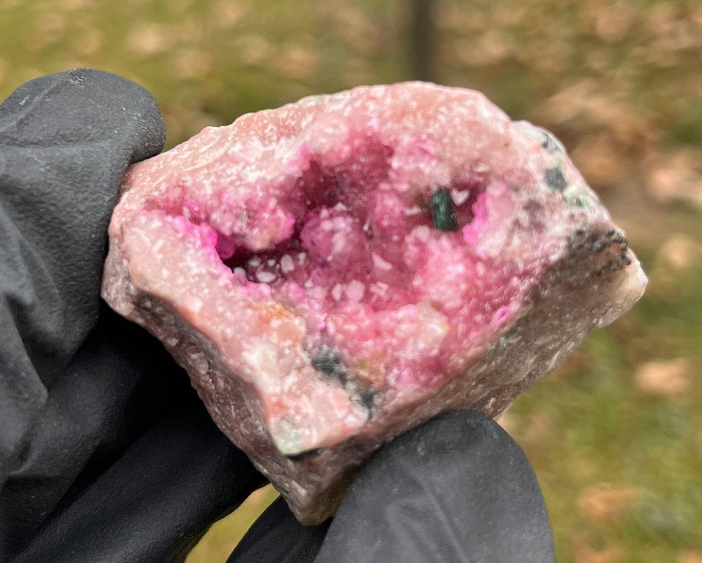 RARE Pink Cobaltoan Calcite Geode with Malachite - Aphrodite Stone - Raw Collector Specimen for Heart Healing & Compassion