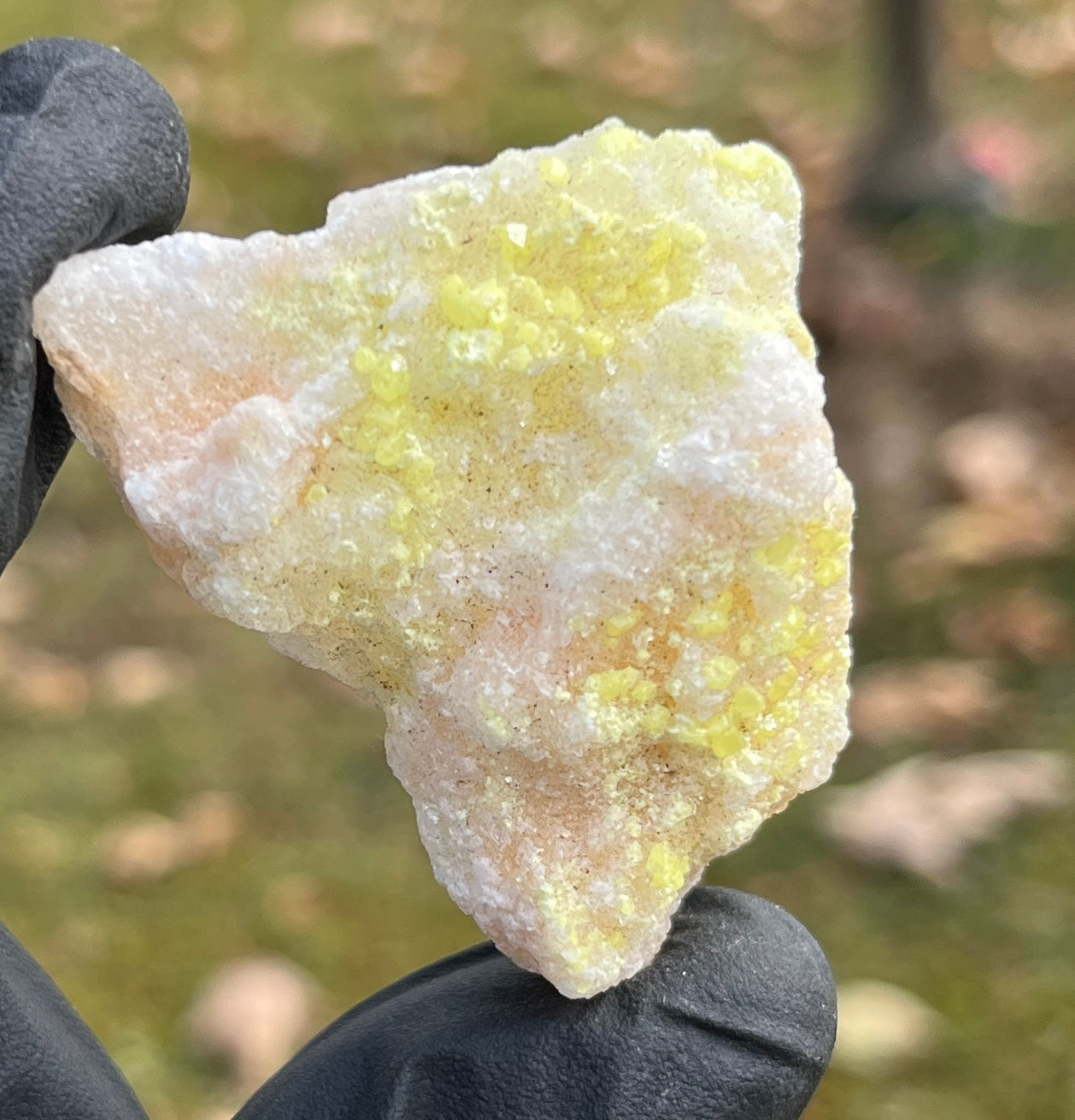 Vibrant Rare Sulfur Crystal Cluster on Calcite Matrix | Sicilian Sulphur Specimen | Natural Yellow Mineral Healing Stone | Rare Cabinet Specimen