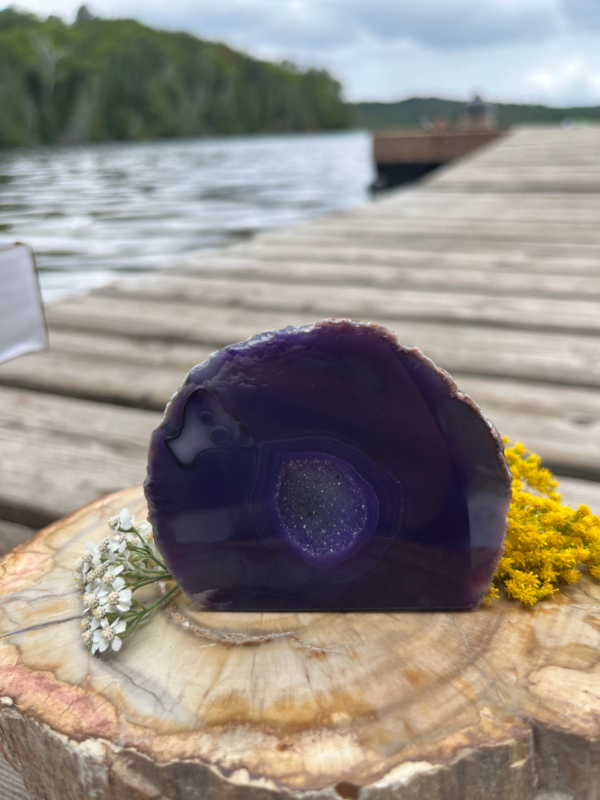 Vibrant Purple Agate Geode Slice with Quartz Druzy Pocket