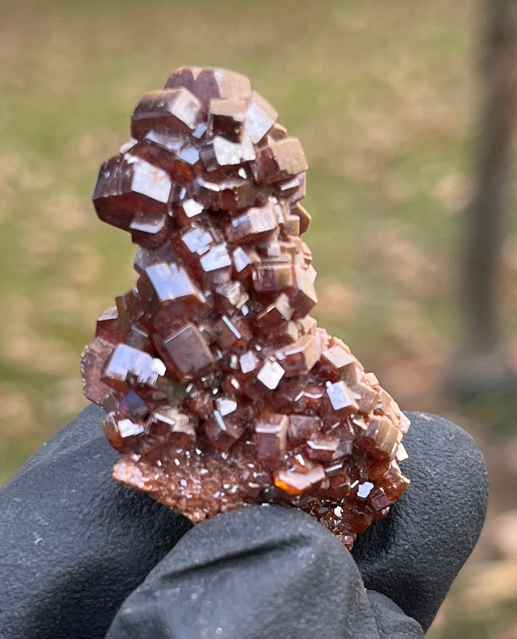 Exceptional Vanadinite Crystal Cluster | Deep Red-Orange Hexagonal Vanadinite on Matrix | Morocco Mineral Specimen | Collector Grade Healing Crystal
